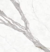 Керамогранит Protiles Calacatta Polished 9mm 60x120