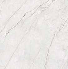 Керамогранит Arcadia Ceramica Meteria Silver 60x120 Carving