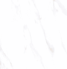 Керамогранит Vizavi Lande ZA-L12614 PR 1200x600x9