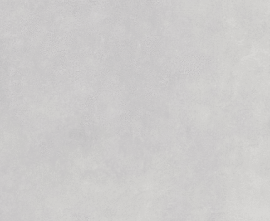 Керамогранит Ocean Ceramic Millenium Light Gray 60х60