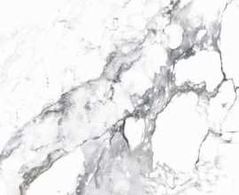 Керамогранит Arcadia Ceramica Borghini Silver 60x60 Carving