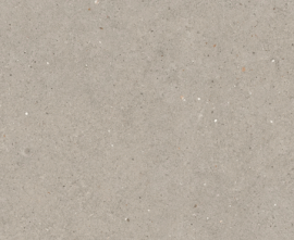 Керамогранит La Faenza Suite Stone ARGENT6 12 60x120