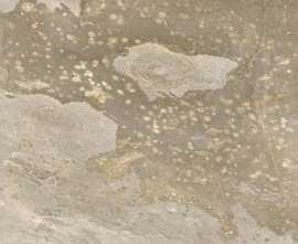 Керамогранит New Tiles Bali Sand In&Out 60x60