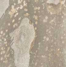 Керамогранит New Tiles Bali Sand In&Out 29.5x60