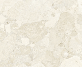 Керамогранит Ergon Matera Stone Sassi White Silktech R10 Rett 60x120