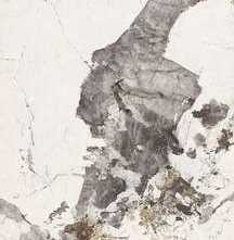 Керамогранит NT Ceramic Atlas Home Atlas Grey