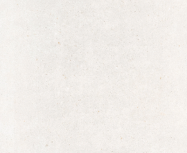 Керамогранит Pamesa Core Mix White MT Rect 120x120