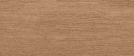 Керамогранит Ribesalbes Bremen Sherwood 10x60
