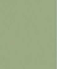 Керамогранит Janye Slab Solid Color Pine Green Matt 120x280