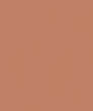 Керамогранит Janye Slab Solid Color Arcilla Red Matt 120x280