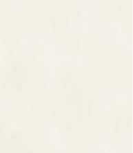 Керамогранит Janye Slab Microcement Glossy Putty White Text 120x270