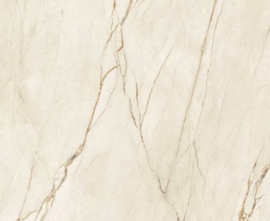 Керамогранит Grespania Canela Roma Beige 120x120