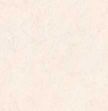 Керамогранит Rondine Group Lutezia Ivory 60x120